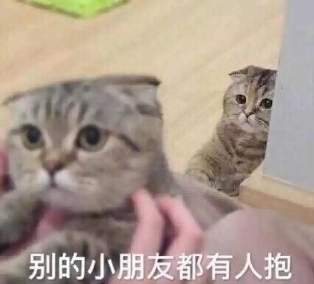 原来猫咪独自在家也会孤单,也只是个需要主人关爱的小孩子啊
