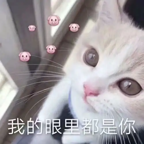 英语
