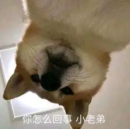 怎么回事,小老弟表情包
