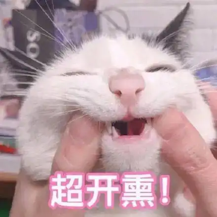 又降温了新的冷空气周日到货至于春节的天气......
