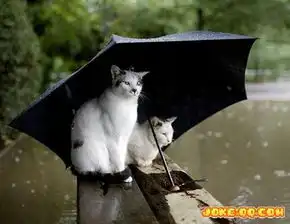 史上最牛的图片,不信你不笑

