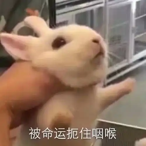 一只手抱着狗狗一只手涂口红,荷尔蒙人设还能继续吗
