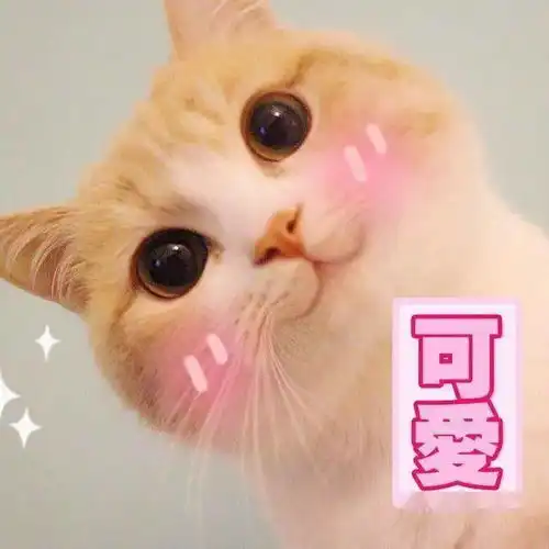 花式营业酒店在线沙龙时刻,一起来聊聊魔幻的2020吧
