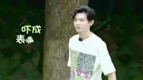 爆笑陈哲远怕狗被狗追着跑,吓出表情包,怀疑节目组是故意的
