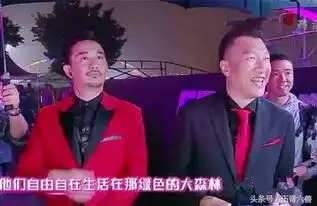 明星神错位,何炅戴耳环,王俊凯大秀美腿,而他竟怀双胞胎
