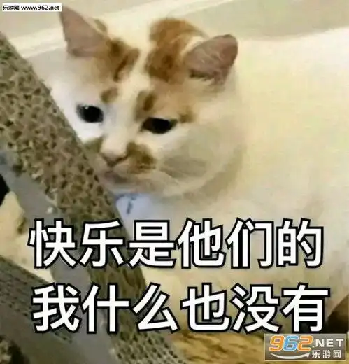 开了个wish一个多月都没单,除了刷单,还有没什么其他办法开单
