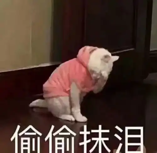 减肥那些事
