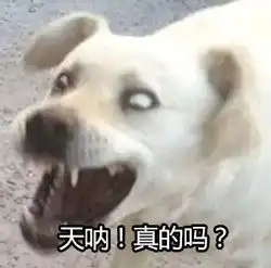 你玩过手影游戏吗好游快爆确认代理投影寻真国服版

