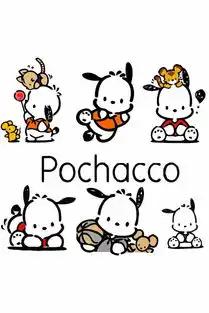 帕恰狗pachacco
