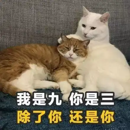 土味情话表情包,拿去撩你的男女神