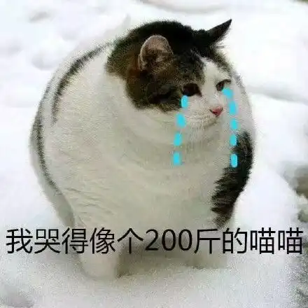 适合过年发的可爱沙雕文案附30张表情包
