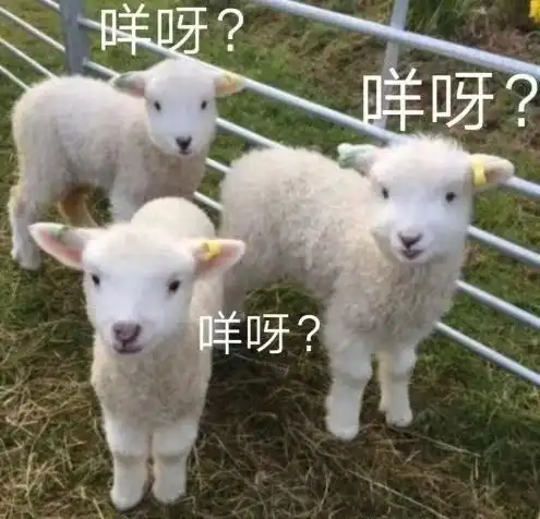讲讲在游戏里遇到的关于网恋的二三事
