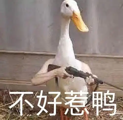 这届网友的真奇葩网购清单,激起了我双11的剁手欲
