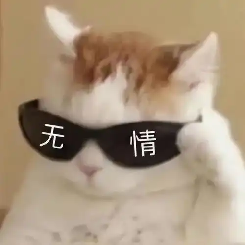 收表情包的快乐时间

