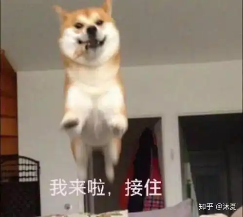 王祖蓝东莞专场直播带货,有哪些值得一看的亮点
