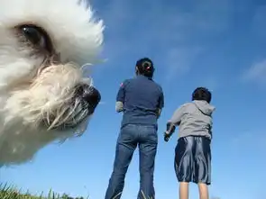 他们说拍照时一定要小心周围的汪星人