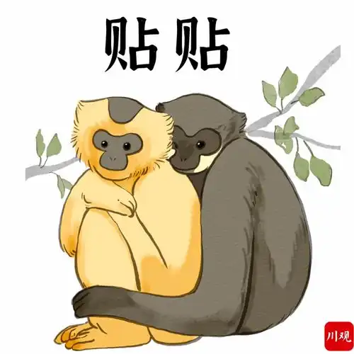 中国神奇生物在哪里最萌双语表情包带你研究
