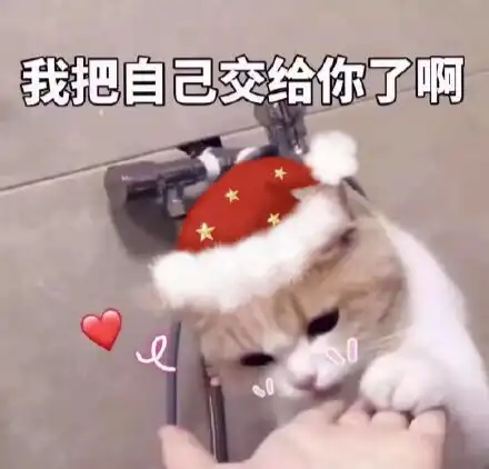 不得不承认,大部分理性消费是因为穷,而不是因为你真的理性
