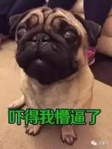 谁再比比你养狗,你就这样回复他

