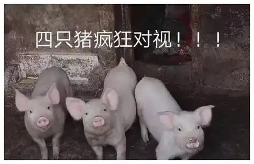开心段子,笑一天
