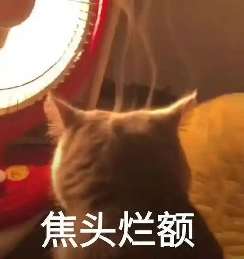 为什么你越打折,顾客越讲价该反省了
