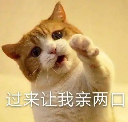 一句话劝退你养猫,看完觉得手里的猫不香了
