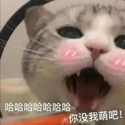 今日表情推荐,829
