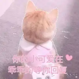 招募在昆歪果仁4月14日茶艺体验活动等你来
