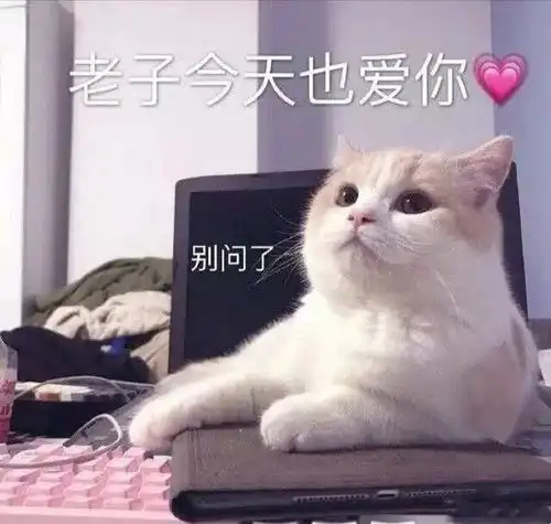 表情情侣聊天表情包,老子今天也爱你,不用问了腾讯新闻表情

