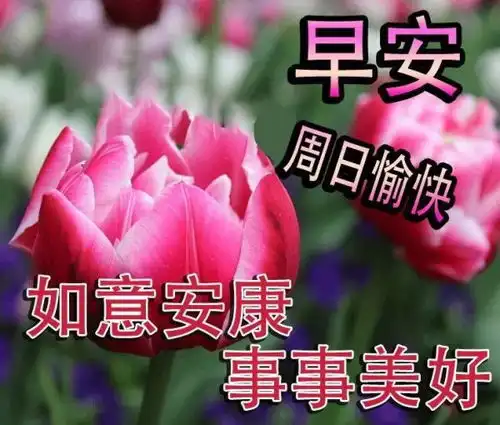 周日最新早晨好问候语动态图片表情2021最新漂亮早上好问候祝福语
