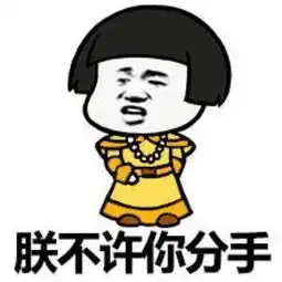 贱婊情
