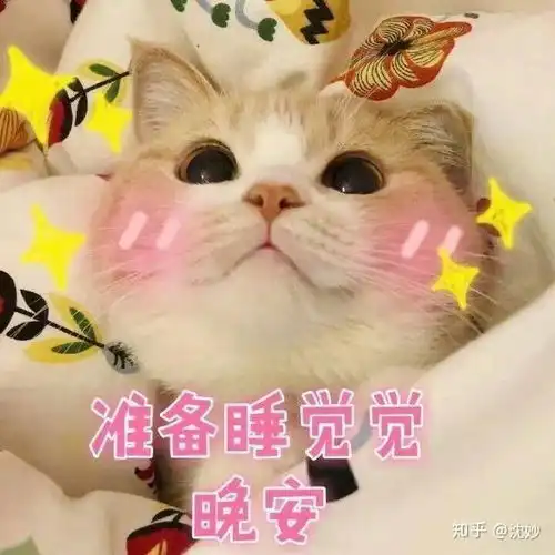 温柔又可爱的晚安文案沙雕表情包

