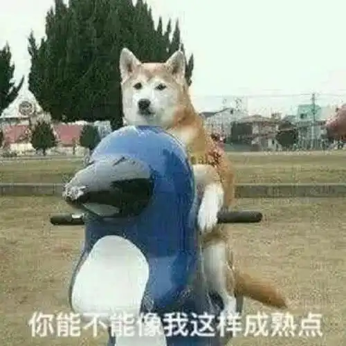 有哪些看完就想秒转朋友圈的沙雕文案
