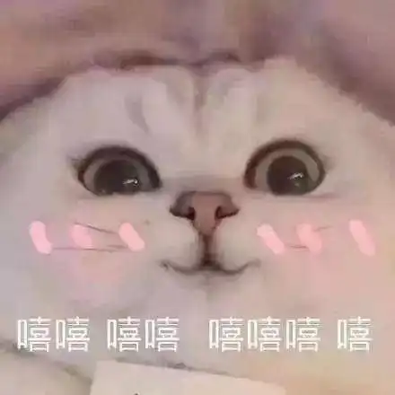 让郎朗为之站台,这个新欢不简单
