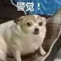 土狗表情包
