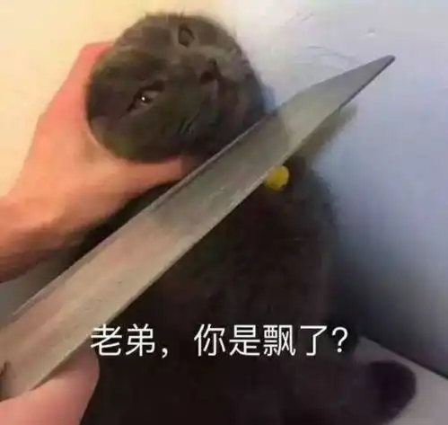 尬舞表情包拱定你了
