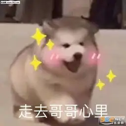 摸头表情包图片哥哥