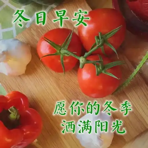 最美聊天图片送给您
