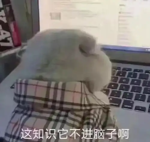 5招解决报了自考,学不进去的烦恼
