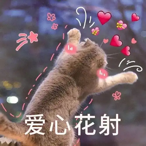 求求突如其来的假期相关的头像
