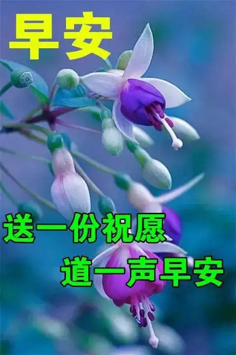 中老年表情包早上好,天天开心,知足常乐

