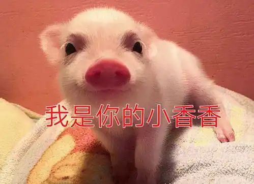 湖南产的和田玉破解香花玉身世之谜
