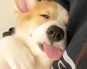 睡眠是最好的美容院是有科学依据的看完后网友不说了先睡了
