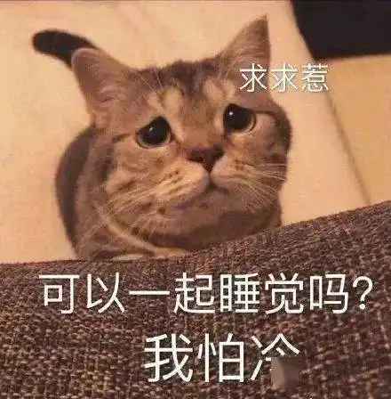闺蜜私底下是怎么讨论男人的哈哈哈精彩
