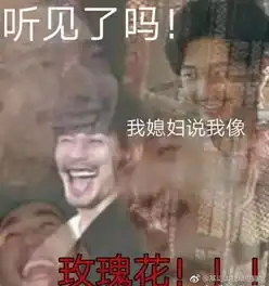 xiuse镇魂女孩的表情包日常

