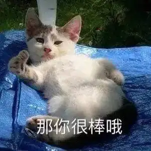 lol40个皮肤卖号问价格,网友却说乖,别闹了,卖不出去的
