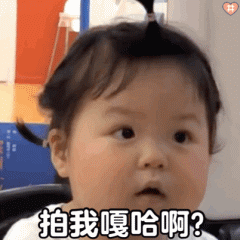 微信拍一拍聊天搞笑表情包来袭,拍一拍表情包火爆全网,拍一拍gif
