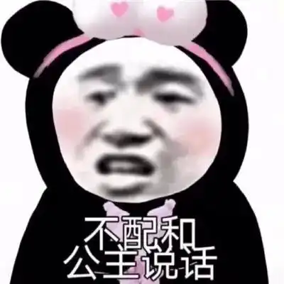 表情包本公主和你没完
