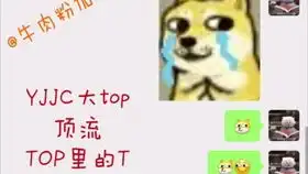 知道那个火遍中国的熊猫头表情包的原版出自哪里吗一定要看简介

