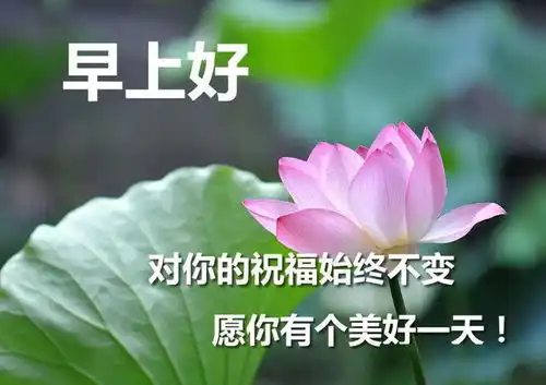 夏天最新早上好表情微信适合群发早上好的问候语图片带字

